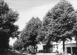 Linden an der Stader Stra&szlig;e