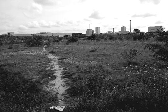 Blick über die Brache am Ende der Godehardstraße in Bremen, Hemelingen