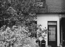 Reihenhaus in Klein Mexiko