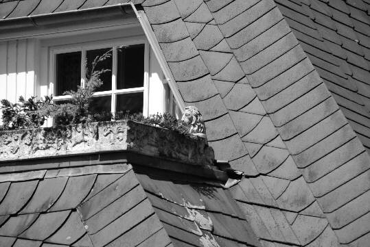 A little stone lion on the parapet of a roof terrace of a big villa
