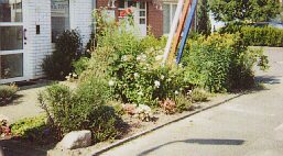 liebevoll gepflegtes Blumenbeetvor einem Dachdeckerbetrieb in der Insterburger Straße
