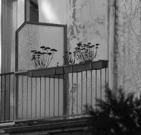 Balcony at the rear of a big townhouse