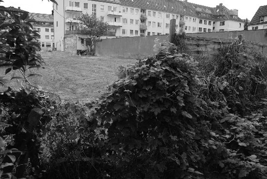 Blick auf das planierte Grundst&uuml;ck des ehemaligen Kohlh&ouml;kerhofes der Familie Ahlers vom hinteren Ende, also von 'Klein Mexiko', aus