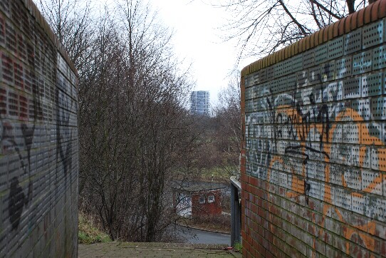 Sichtachse auf ein mächtiges Hochhaus im Hafengebiet rechts der Weser durch eine Lücke in der Bepflanzung eine Walles