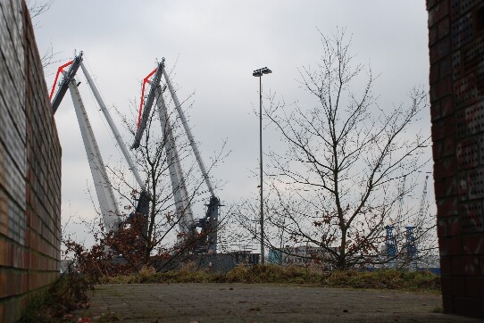 Blick auf Hafenkräne im Neustädter Hafen