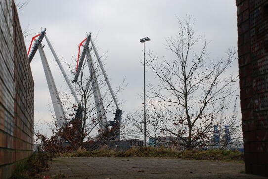  Blick auf Hafenkräne im Neustädter Hafen