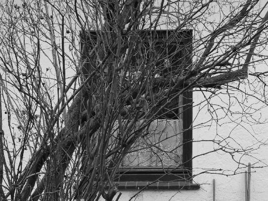 unser K&uuml;chenfenster wie es unsere Nachbarn von ihrem K&uuml;chenfenster aus sehen
