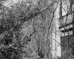 Nistkasten im Bogen der Struckmannstra&szlig;e