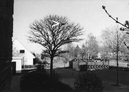 weiteres Vogelnest in der Reihe von B&auml;umen am Verbrauchermarkt Kulenkampffallee/ Ecke H.-H.-Meier-Allee in Bremen