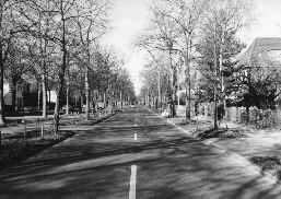 Am Tage: Ein Blick auf die Stra&szlig;e, an der sich die Haltestelle befindet, an der nachts der obdachlose Mann stand.
