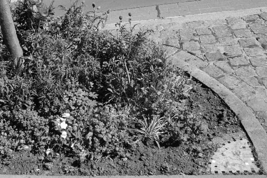 Many plants and two mosaics were artfully arranged on this green verge.