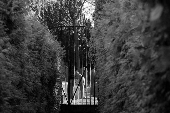 A look at the old Jewish cemetery in Bremen