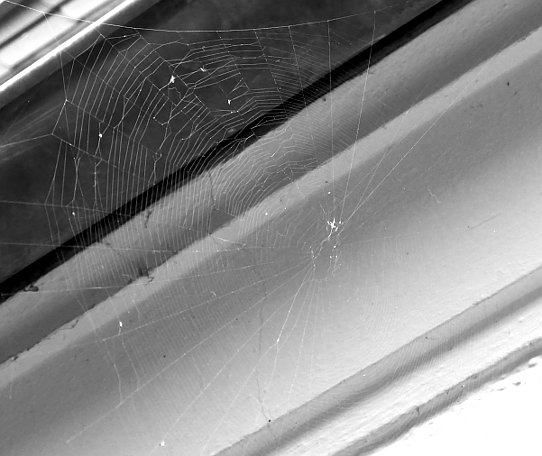 Netz ohne Spinne
