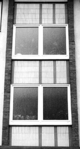 Im Hulsberg-Viertel in Bremen: Treppenhauses mit einer Blumenpracht