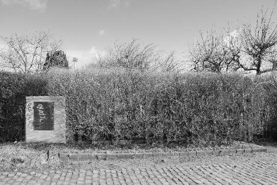 Blick von der Straße auf die Hecke eines Kleingartens nahe der Weser