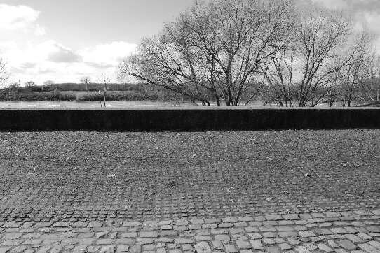 Blick auf eine Spundwand in der Innenböschung des Sommerdeiches der Weser