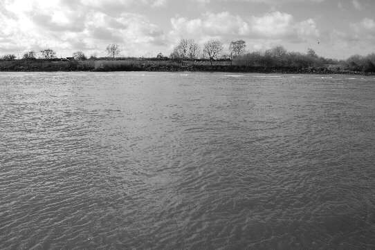 Blick vom Strand auf die Weser