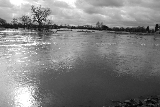 Blick von der Uferbefestigung auf die Weser