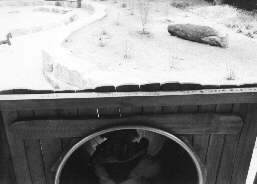 Perspektive eines Erwachsenen auf die Tunnelrutsche auf dem Spielplatz in Klein Mexiko
