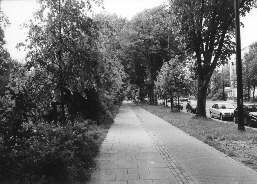 Perspektive eines Erwachsenen auf die Bismarckstra&szlig;e