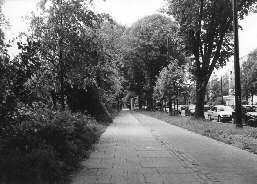 Perspektive eines Kindes auf die Bismarckstra&szlig;e