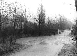 Kreuzungsbereich Wischhusenstr./ Gr&uuml;nzug West (Bremen Gr&ouml;pelingen)