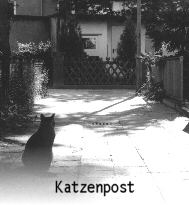 Katzenpost