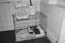 Katzenbox und Pflegeger&auml;t
