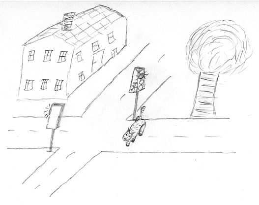 Katze Daisy an der Ampelkreuzung