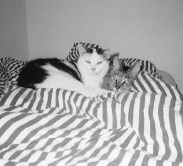 Peter und Paul auf 'ihrem' Bett